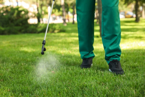 Professional Pest Control in Superior, AZ