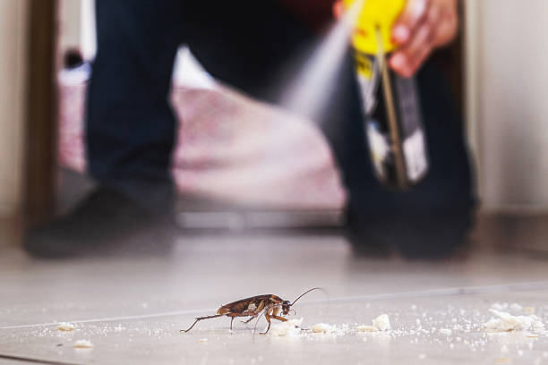 Best Exterminator Services  in Superior, AZ