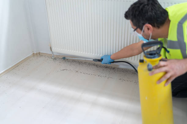 Best Pest Prevention Services  in Superior, AZ
